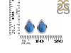 Labradorite Stud Earring LBD-RDE-1111.