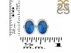 Labradorite Stud Earring LBD-RDE-1112.