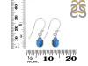 Labradorite Earring LBD-RDE-1117.