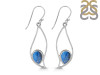 Labradorite Earring LBD-RDE-113.