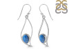 Labradorite Earring LBD-RDE-113.