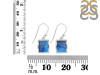Labradorite Earring LBD-RDE-1136.