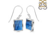 Labradorite Earring LBD-RDE-1136.