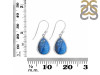 Labradorite Earring LBD-RDE-1159.