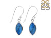 Labradorite Earring LBD-RDE-1166.