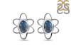 Labradorite Stud Earring LBD-RDE-12.