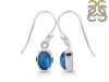 Labradorite Earring LBD-RDE-1285.