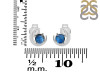Labradorite Stud Earring  LBD-RDE-1273.