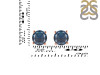 Labradorite Stud Earring LBD-RDE-1349.