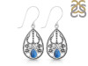 Labradorite Earring LBD-RDE-182.