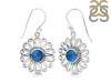 Labradorite Earring LBD-RDE-184.