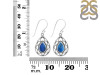 Labradorite Earring LBD-RDE-196.