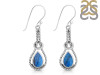 Labradorite Earring LBD-RDE-197.