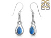 Labradorite Earring LBD-RDE-197.