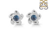 Labradorite Stud Earring LBD-RDE-1.