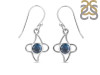 Labradorite Earring LBD-RDE-20.