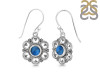 Labradorite Earring LBD-RDE-204.