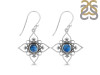Labradorite Earring LBD-RDE-206.