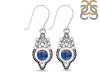 Labradorite Earring LBD-RDE-218.