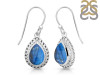 Labradorite Earring LBD-RDE-227.