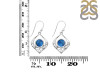 Labradorite Earring LBD-RDE-228.