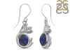 Labradorite Earring LBD-RDE-232.