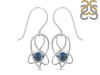 Labradorite Earring LBD-RDE-27.