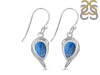 Labradorite Earring LBD-RDE-307.