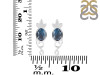 Labradorite Stud Earring LBD-RDE-4.
