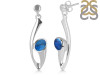 Labradorite Earring LBD-RDE-445.