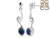 Labradorite Earring LBD-RDE-446.