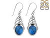 Labradorite Earring LBD-RDE-453.