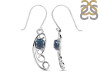 Labradorite Earring LBD-RDE-46.