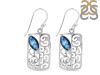 Labradorite Earring LBD-RDE-47.
