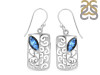 Labradorite Earring LBD-RDE-47.