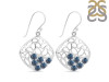 Labradorite Earring LBD-RDE-48.