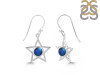Labradorite Earring LBD-RDE-567.