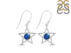 Labradorite Earring LBD-RDE-567.
