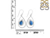 Labradorite Earring LBD-RDE-58.