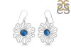 Labradorite Earring LBD-RDE-59.