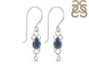 Labradorite Earring LBD-RDE-6.