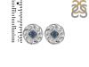 Labradorite Stud Earring LBD-RDE-607.