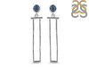 Labradorite Earring LBD-RDE-614.