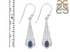 Labradorite Earring LBD-RDE-637.
