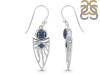 Labradorite Earring LBD-RDE-649.