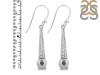 Labradorite Earring LBD-RDE-650.