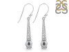 Labradorite Earring LBD-RDE-650.