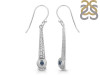 Labradorite Earring LBD-RDE-650.