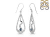 Labradorite Earring LBD-RDE-651.