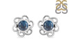 Labradorite Stud Earring LBD-RDE-7.